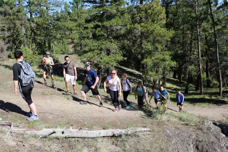 Pincushion Mountain