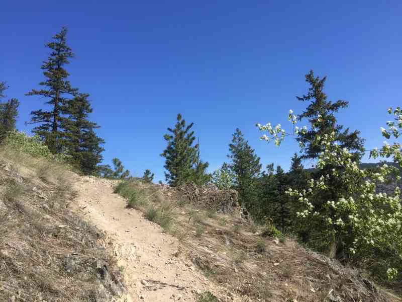 Pincushion Mountain