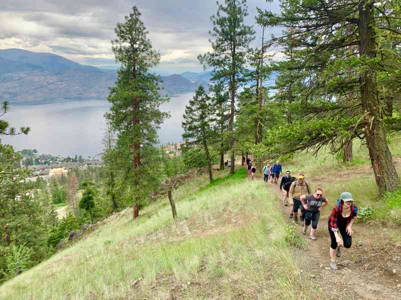 Pincushion Mountain