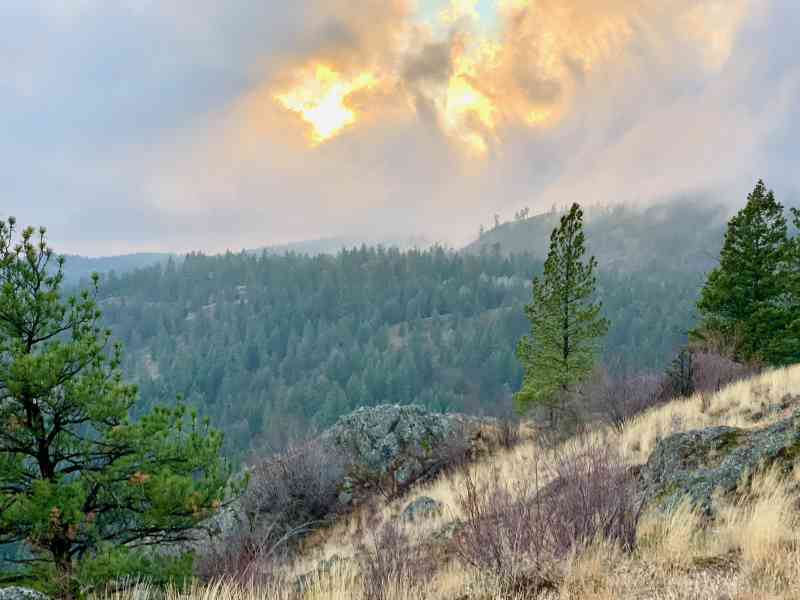 Pincushion Mountain