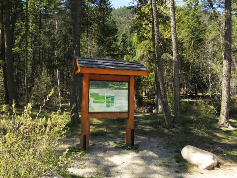 Pincushion via Trepanier