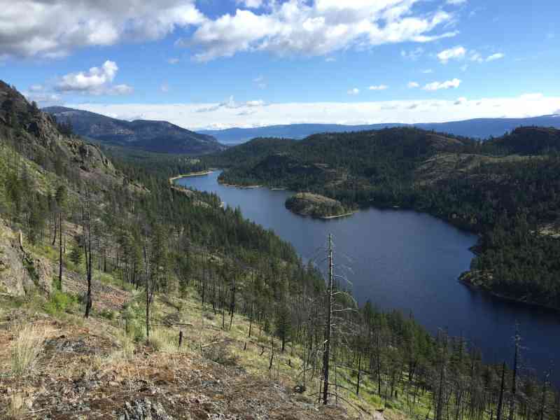 Rose Valley: City on the Edge of Forever