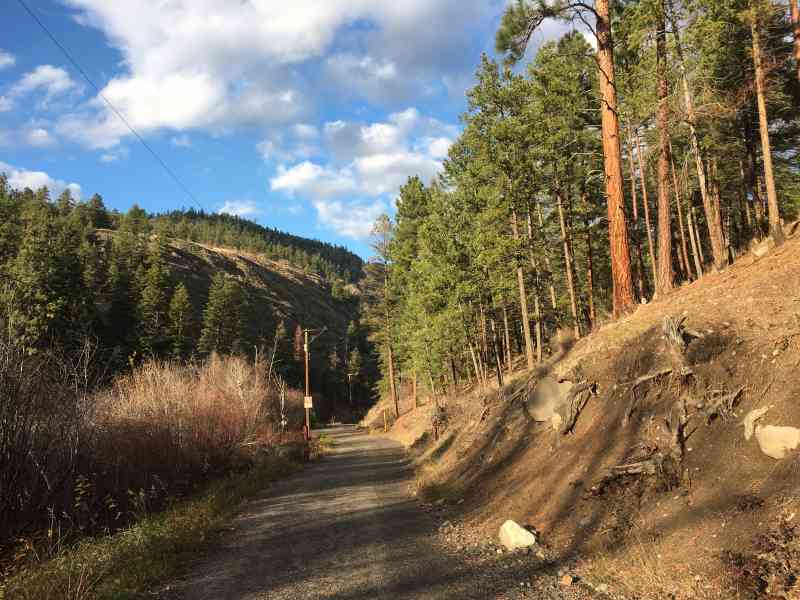 Rose Valley: City on the Edge of Forever