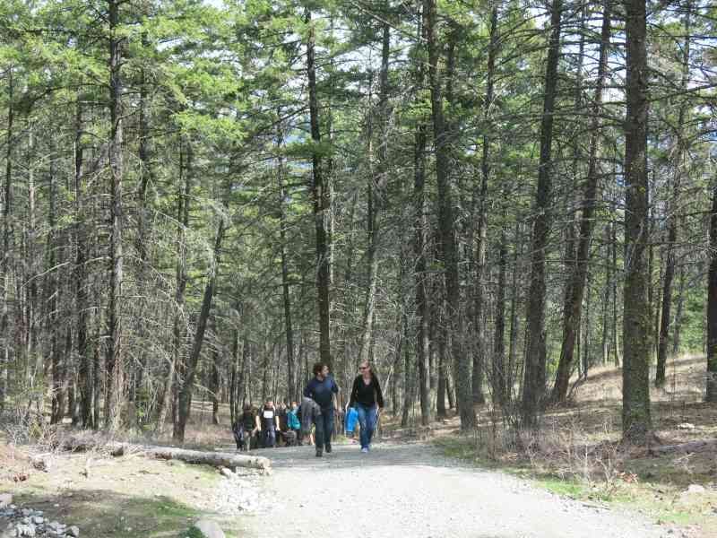 Rose Valley: Summit Loop