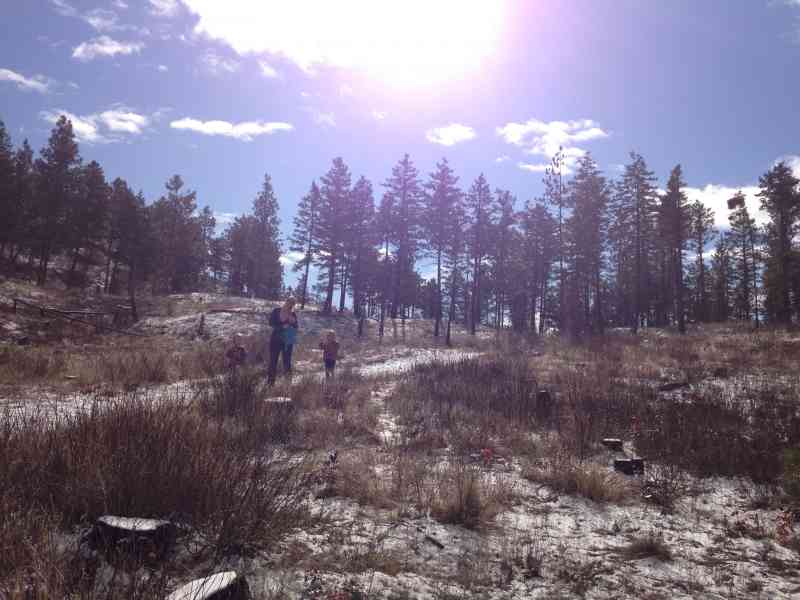 Rose Valley: Summit Loop