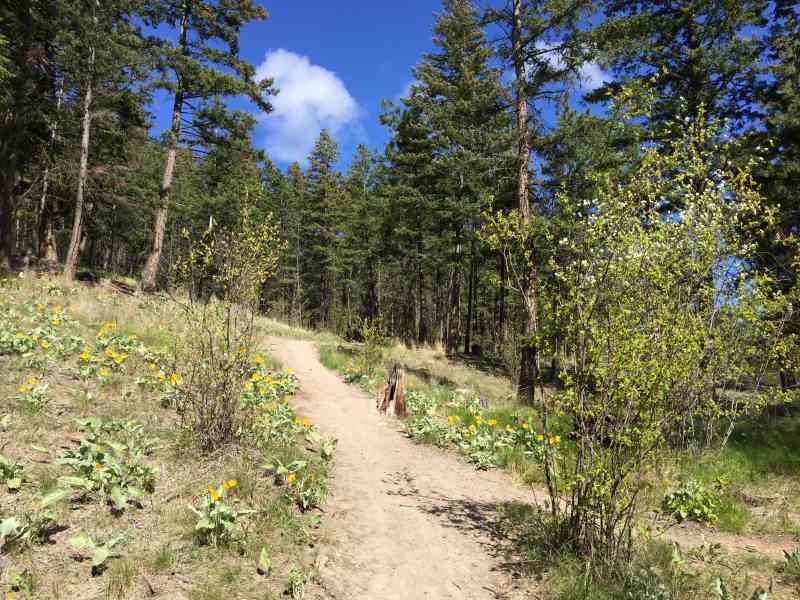 Rose Valley: Summit Loop