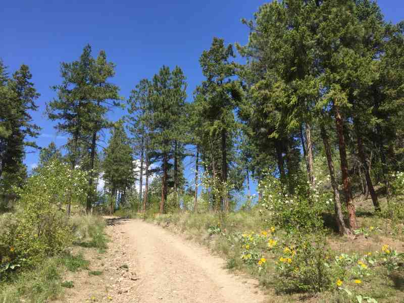 Rose Valley: Summit Loop w/Liv