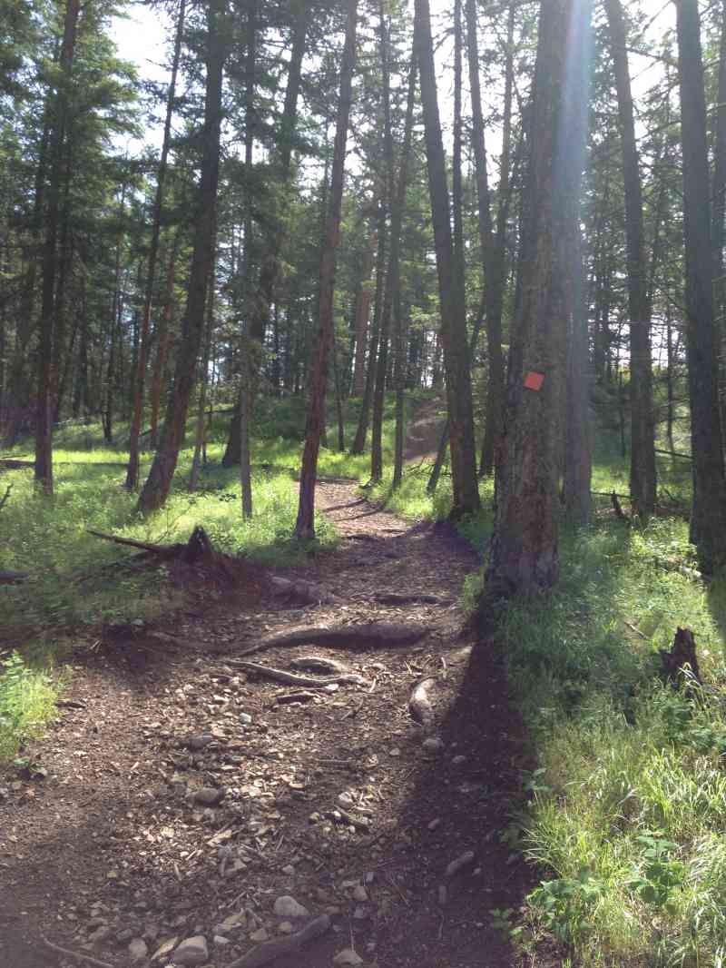 Spion Kopje: Ridgeline/Tower/Paintbrush Loop w/ Remi & Keni