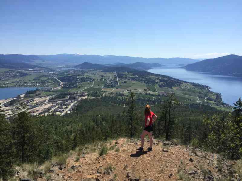 Spion Kopje: Ridgeline/Tower/Paintbrush Loop w/Janet