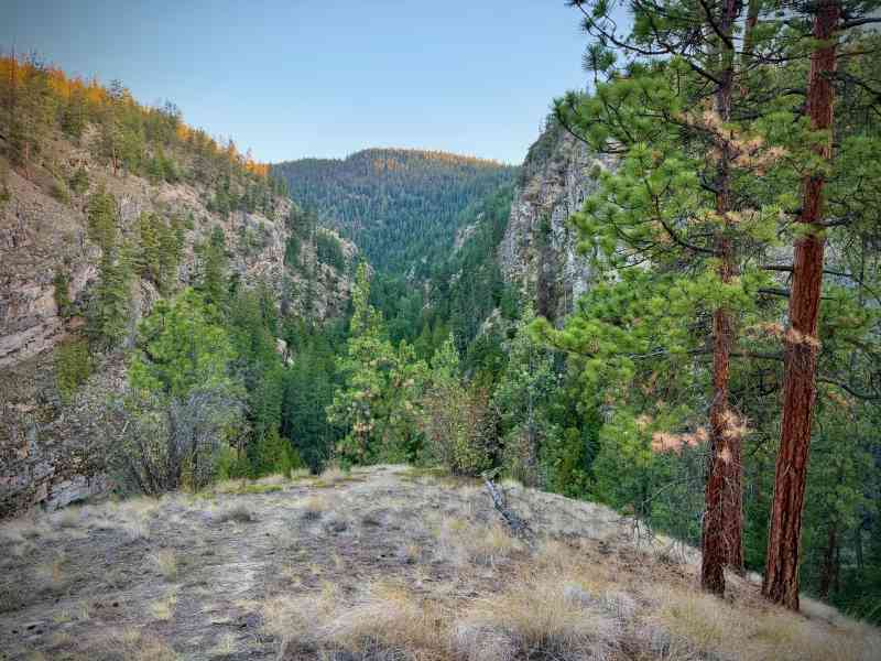 Gallagher's Canyon-Tree of Wisdom