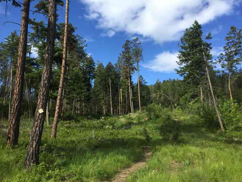 Spion Kopje: Ridgeline/Tower/Paintbrush Loop w/ Kelly