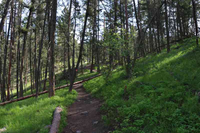 Spion Kopje: Ridgeline/Tower/Paintbrush Loop