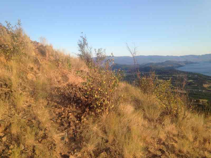 Spion Kopje: Unofficial Trail