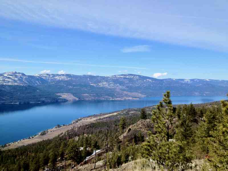 Edited for Social 2020-Jan-13