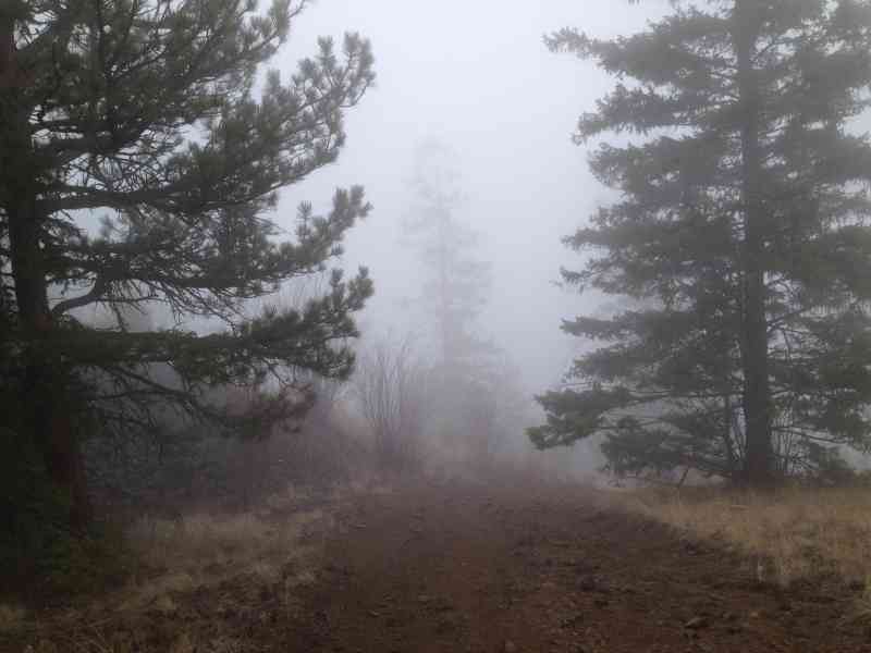 Spion Kopje: Unofficial Trail w/ Kristen