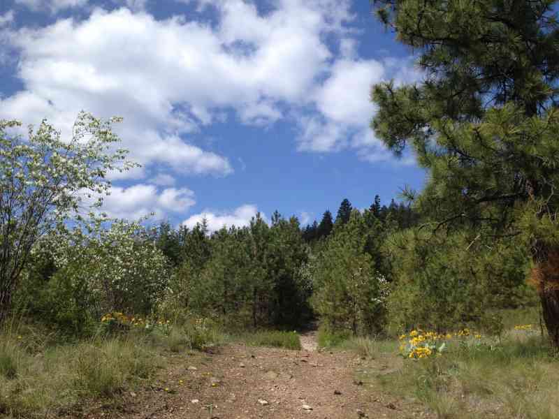 Spion Kopje: Unofficial Trail