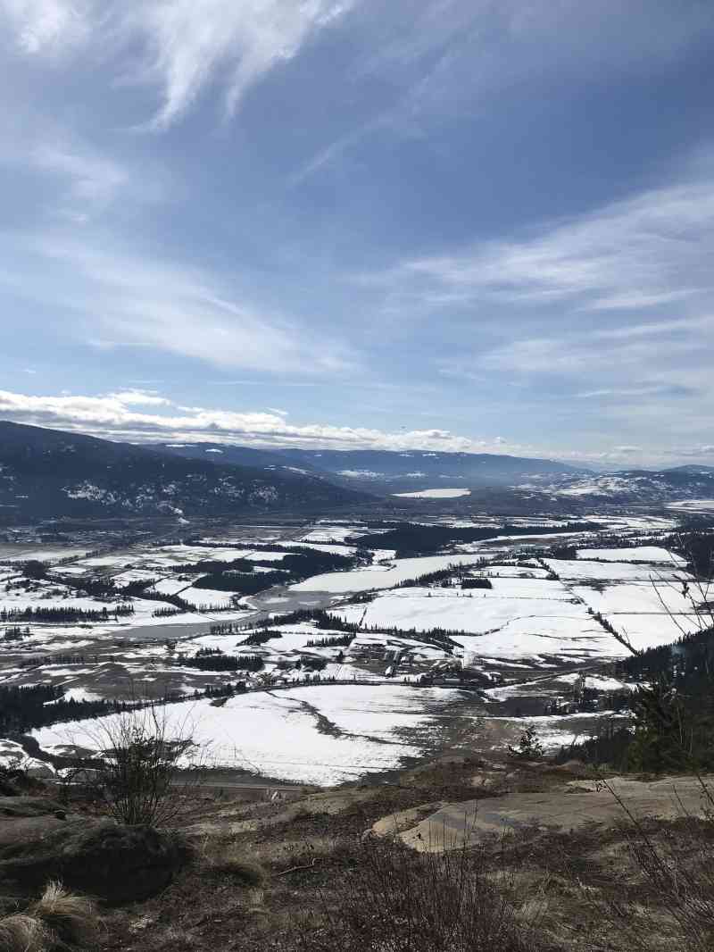 0E98AE0F-31BF-42CD-B4E2-28D01AC4379B