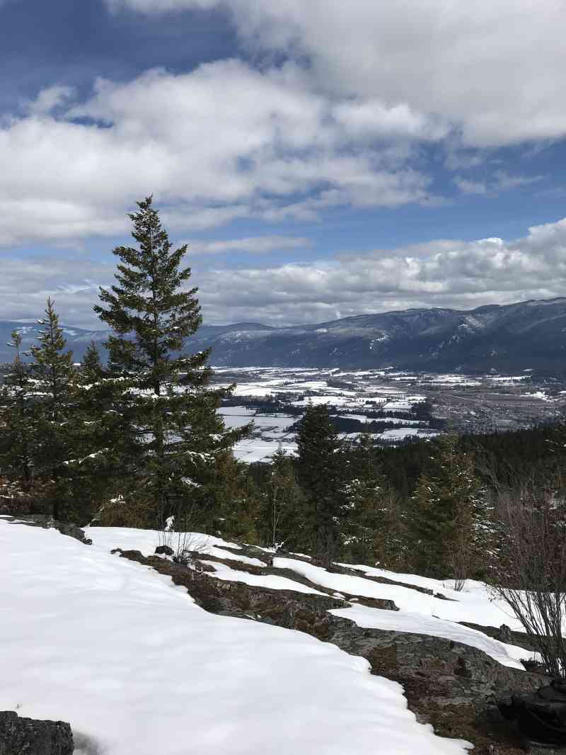 21D7331F-7C0D-48A5-A5EA-50BC3B88F393