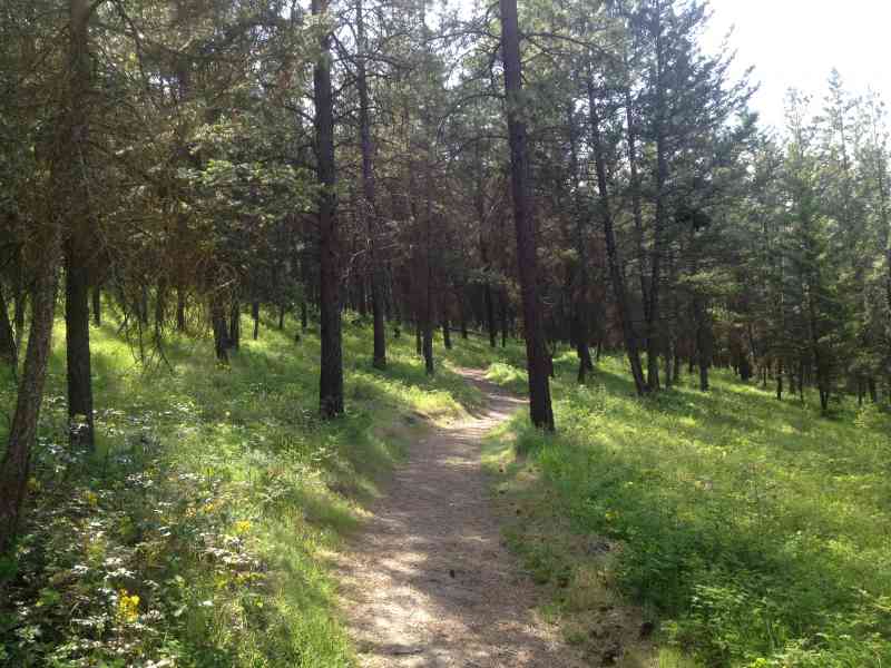 Stephens Coyote Ridge: Light Blue Lake