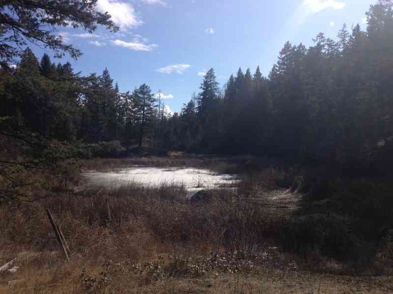 Stephens Coyote Ridge: Light Blue Lake