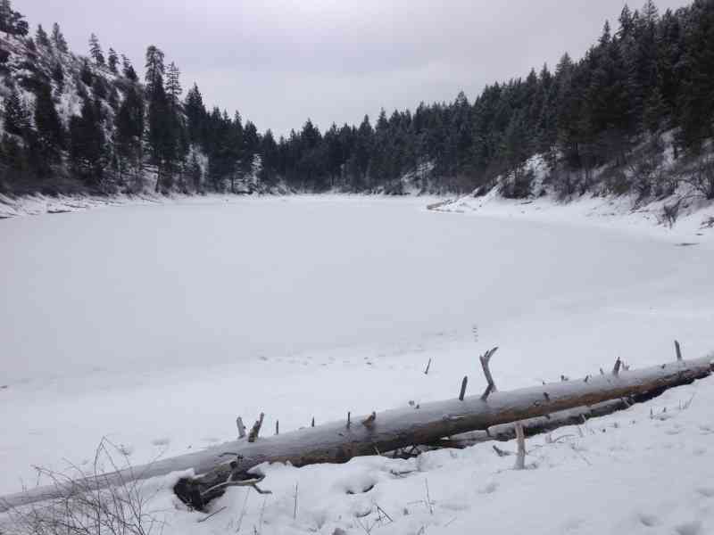 Stephens Coyote Ridge: Light Blue Lake w/ Cheyenne