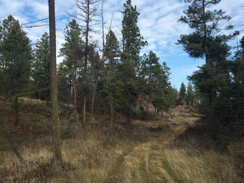 Stephens Coyote Ridge: Light Blue Lake