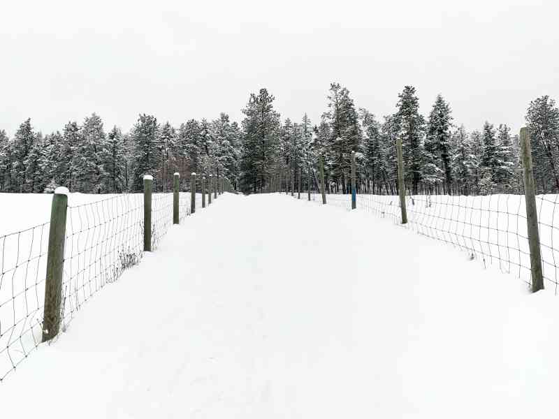 Stephens Coyote Ridge: Light Blue Lake