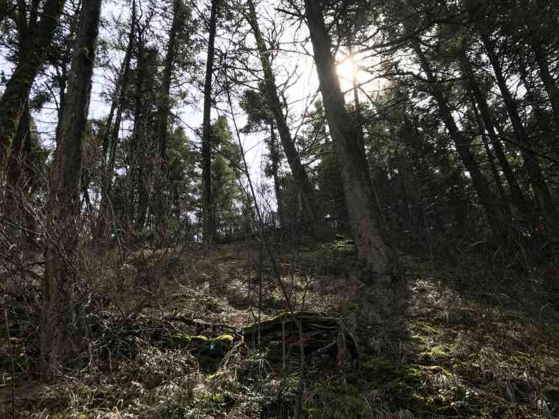 Sugarloaf Mountain w/Seren