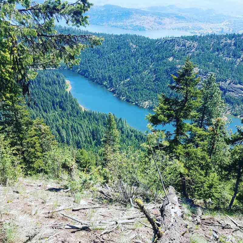 IMG_20180521_170819_008