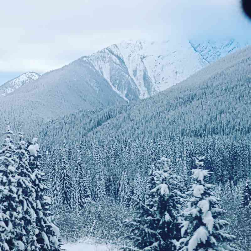 IMG_20180124_125059_474