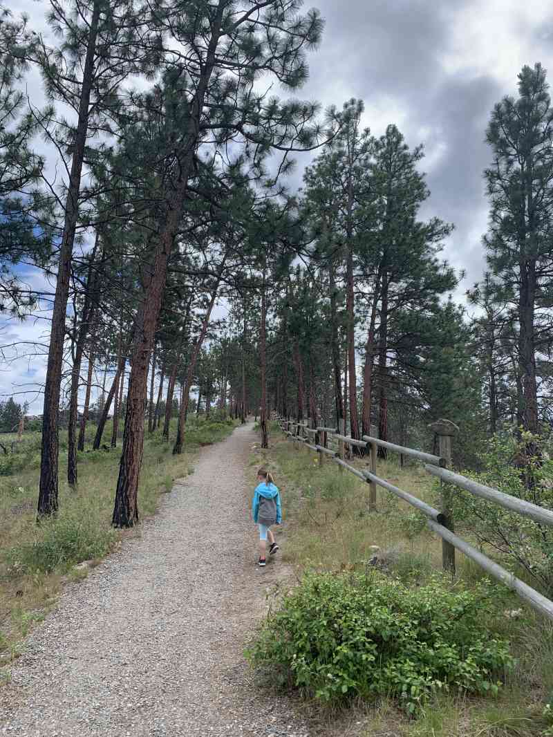 A17527FC-8A23-4170-984E-38BCE6068B8A