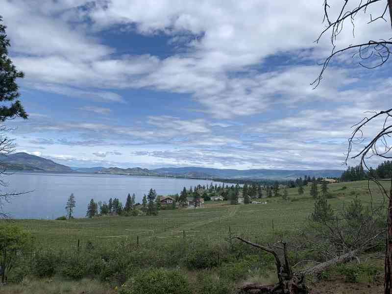 CA1C3A37-6D07-4612-BC83-EAB097B5F4E4