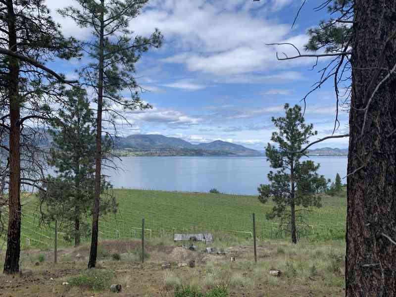 2A1F3DC0-592B-4F93-914B-46EAAFCF7B22