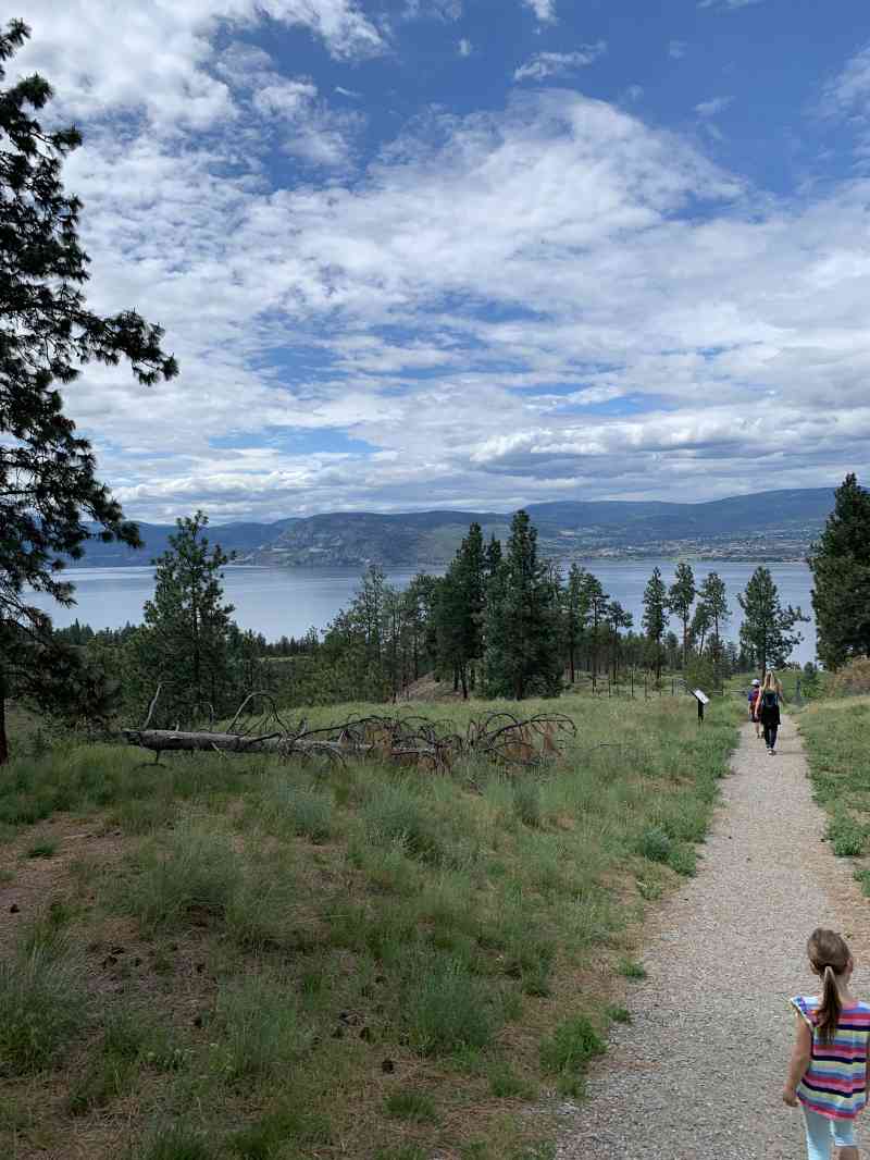 56712B0E-E5A7-44E3-BACC-A81552CD469E