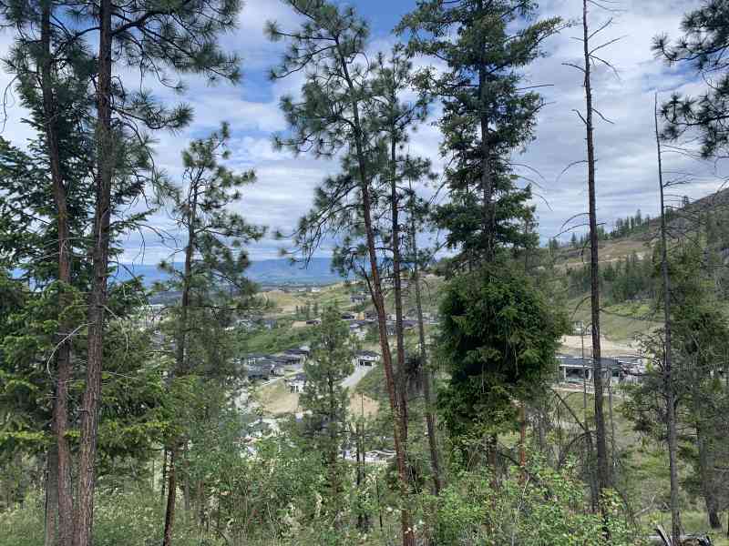 2536EF30-655C-4A72-90A9-B1F684412B1A