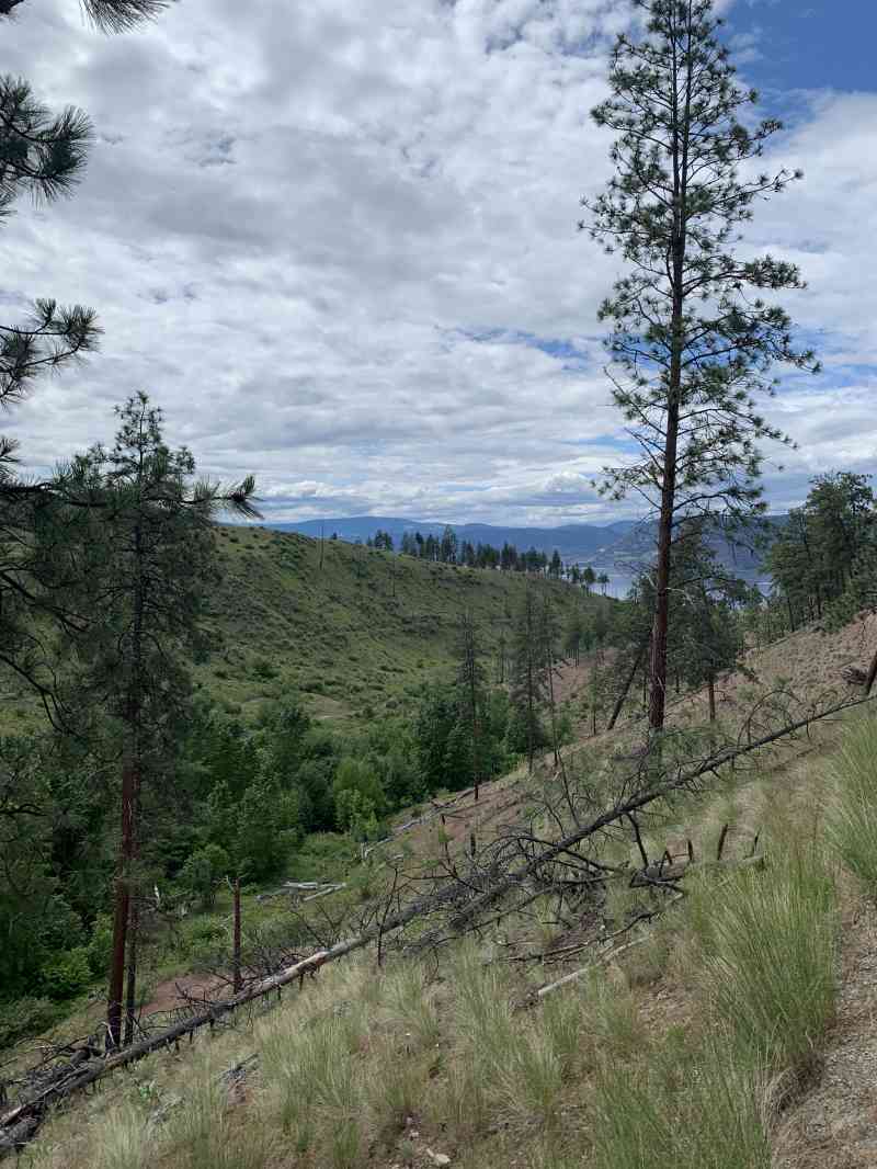 7236FF58-1A31-4F10-A8D0-4724EB2BE701