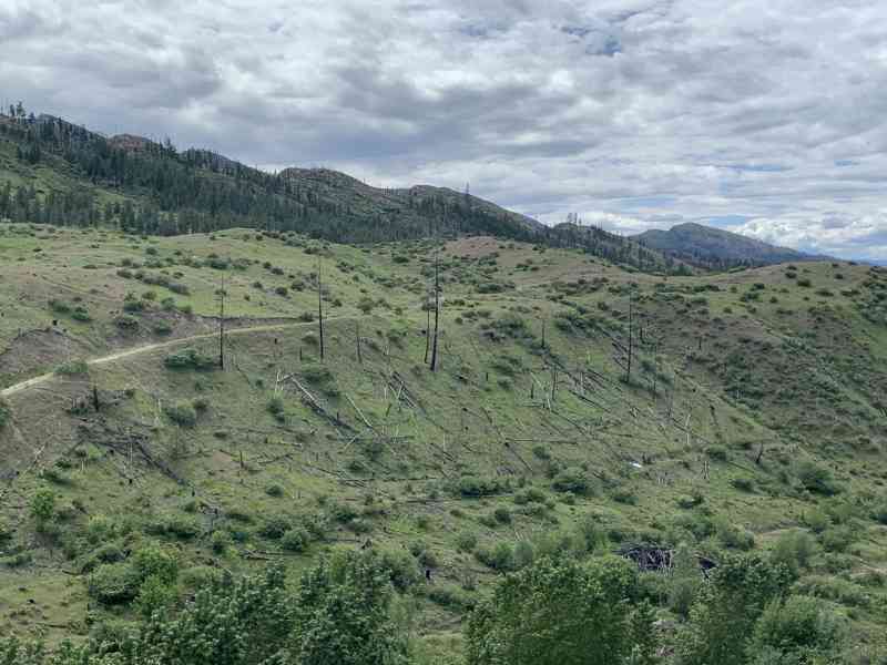 80C88222-1081-473B-9263-19D6F6E74078