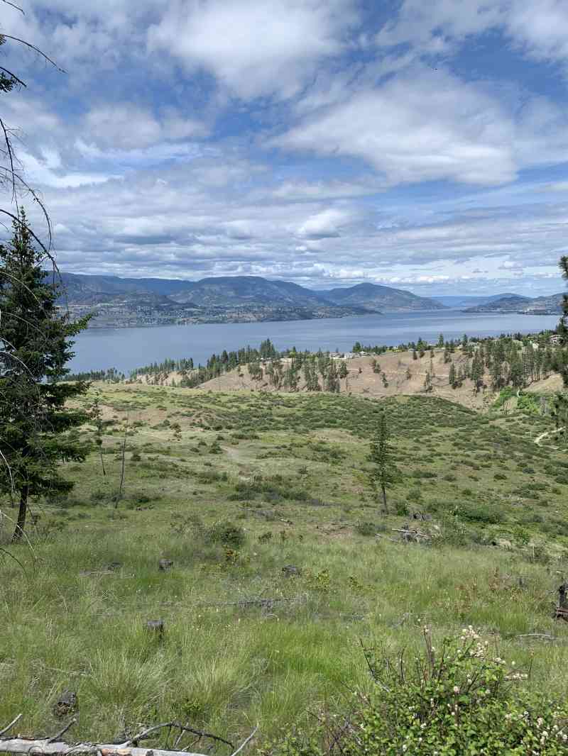 7BE8D26B-B059-4372-86BF-C4EBB6CEAE9E