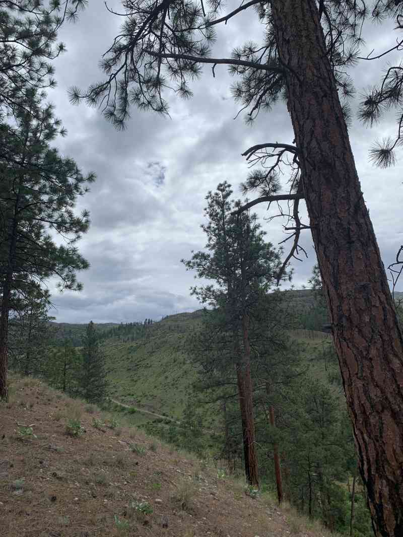 00C143F8-3537-43E9-8452-3F14ADCED5D0