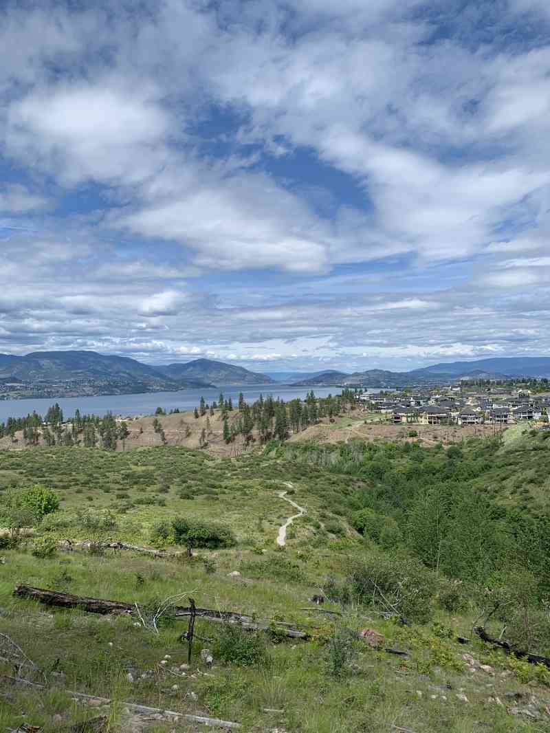 AE85E3D4-2FCD-4A14-86E8-BACF62FA0184