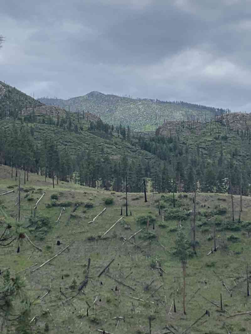 8C57757D-2C49-418D-81BF-DAE68D181EEA