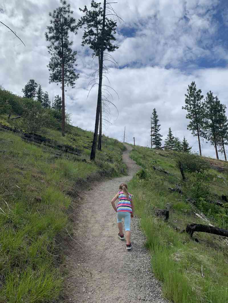 4CFFCD14-00F2-4F97-B244-E21F11196B28