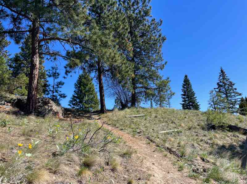 Dilworth: Selkirk to Cell Tower Panoramic Loop