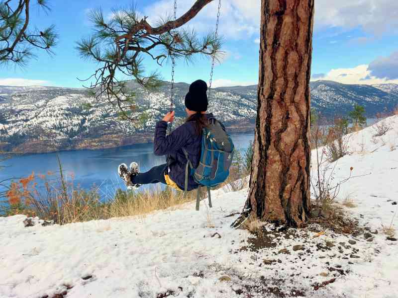 Stephens Coyote Ridge Swingset Loop