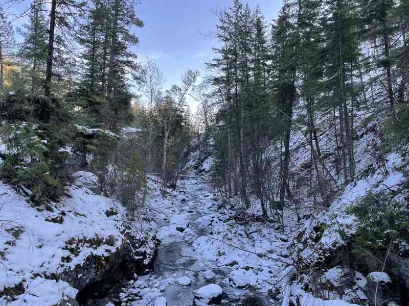 Bear Creek 13 Nov 2022