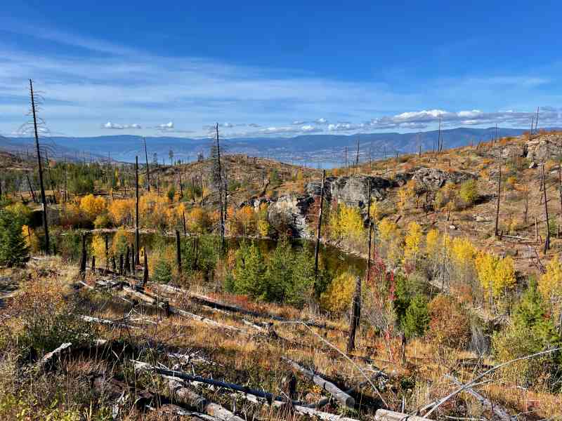 Myra Haunted House Loop