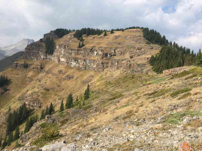 E30DF33F-4679-4004-BF8C-DB091AEBD662