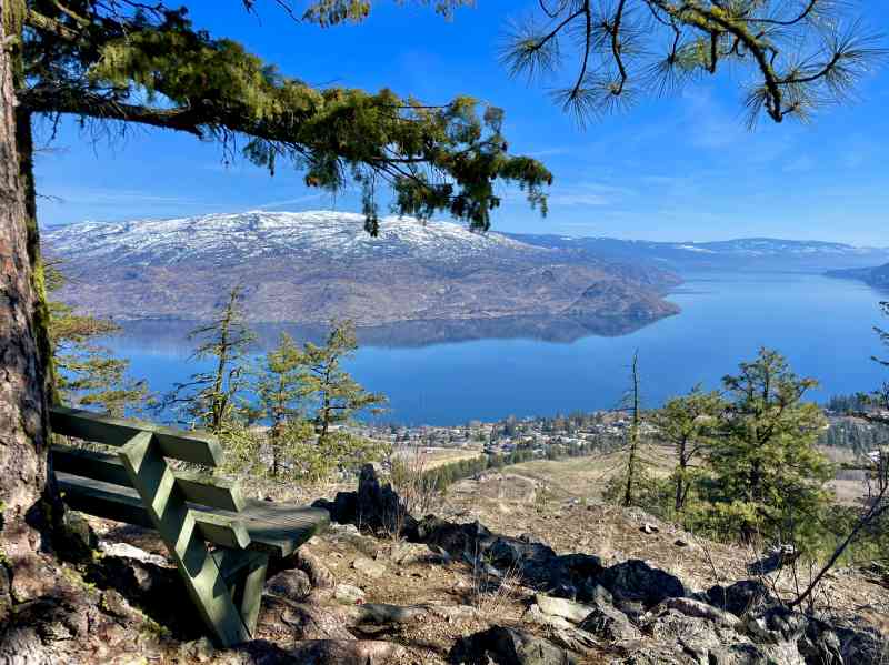 Dan White Buggy Trail