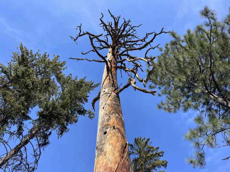 3425E434-B92A-4ECE-8F7E-61D6599B20A0