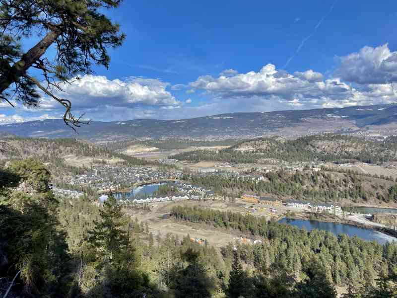 69679C33-F7C1-4877-B814-3B092BCF1265